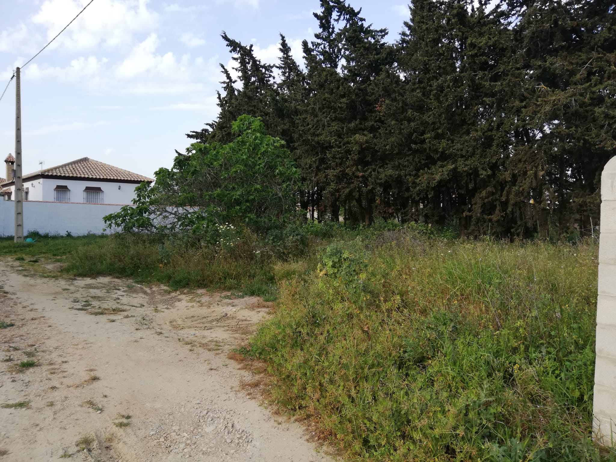 Vendita di terreno in Chiclana de la Frontera